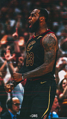 传寻找肋部 传寻找肋部